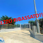 RIBASSOO