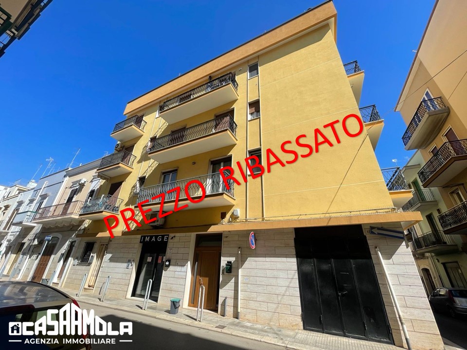 Ampio appartamento in zona centrale