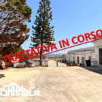 BOZZI TRATTATIVA